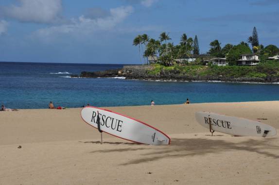 Hoje, a praia de Waimea nem precisava de salva-vidas! (em Oahu, no Havaí)